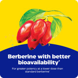 Enzymedica Berberine Phytosome Supplement 50g ingredients list