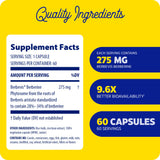 Enzymedica Berberine Phytosome Supplement side view with label