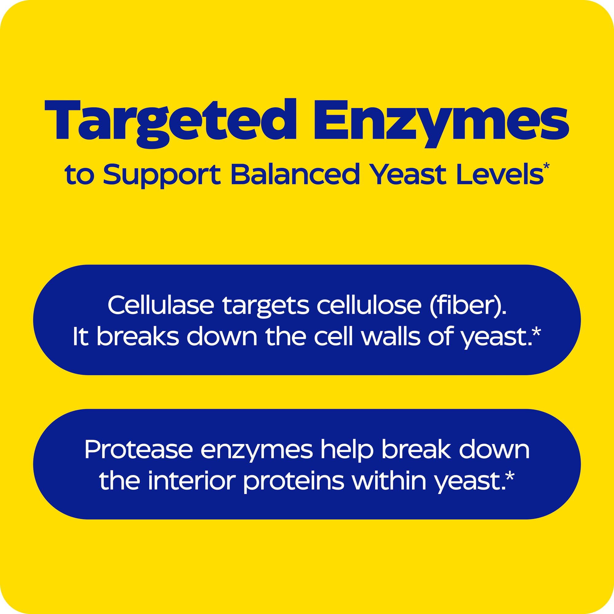 Enzymedica Candidase Multi-Enzyme Supplement open bottle with capsules