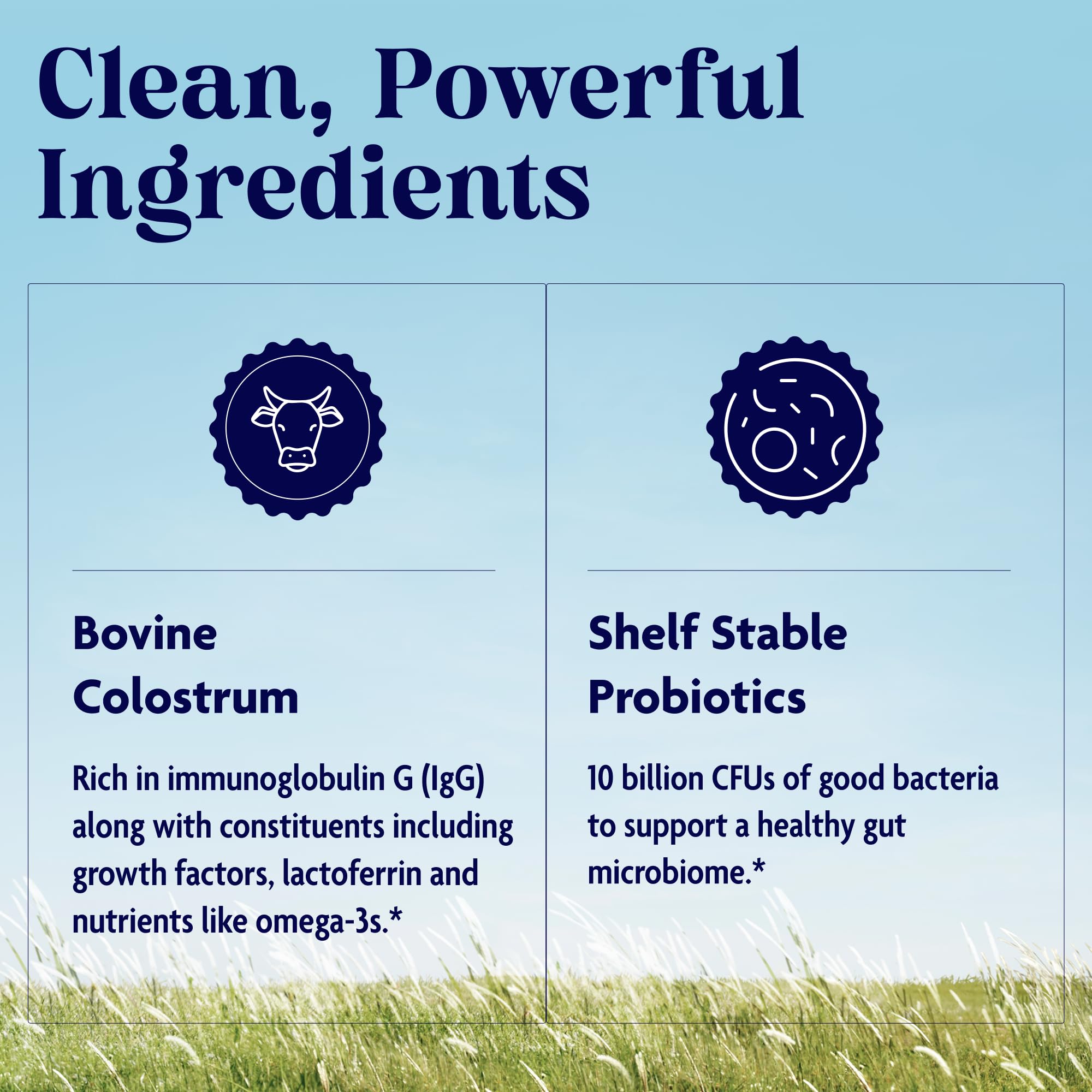 Enzymedica Colostrum + Probiotics Powder mixed in smoothie
