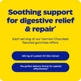 Enzymedica DGL Stomach Soothe Gummies on a kitchen counter