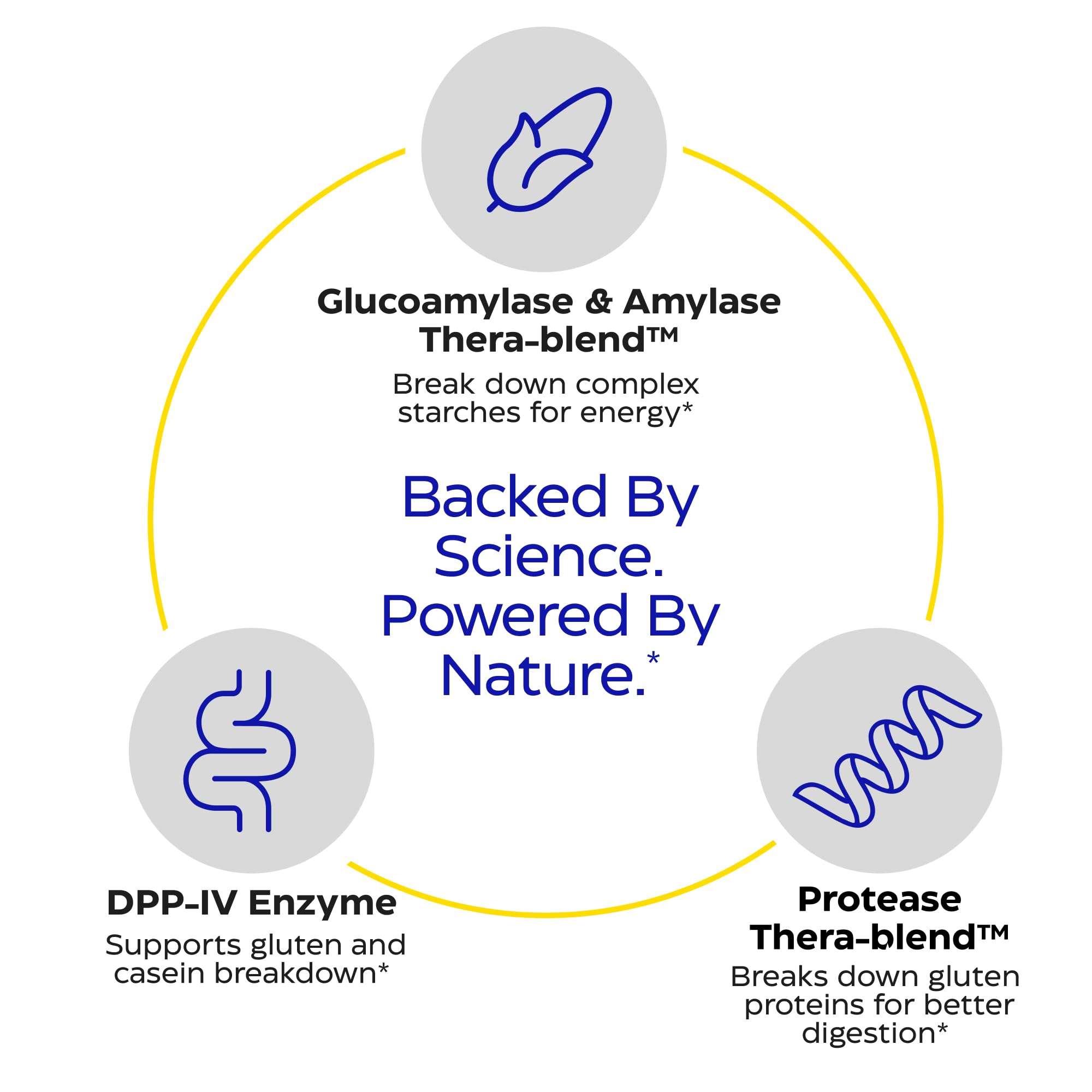 Enzymedica GlutenEase Extra Strength supplement ingredients list