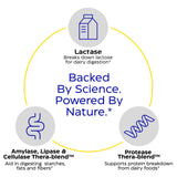 Enzymedica Lactase Supplement bottle top view