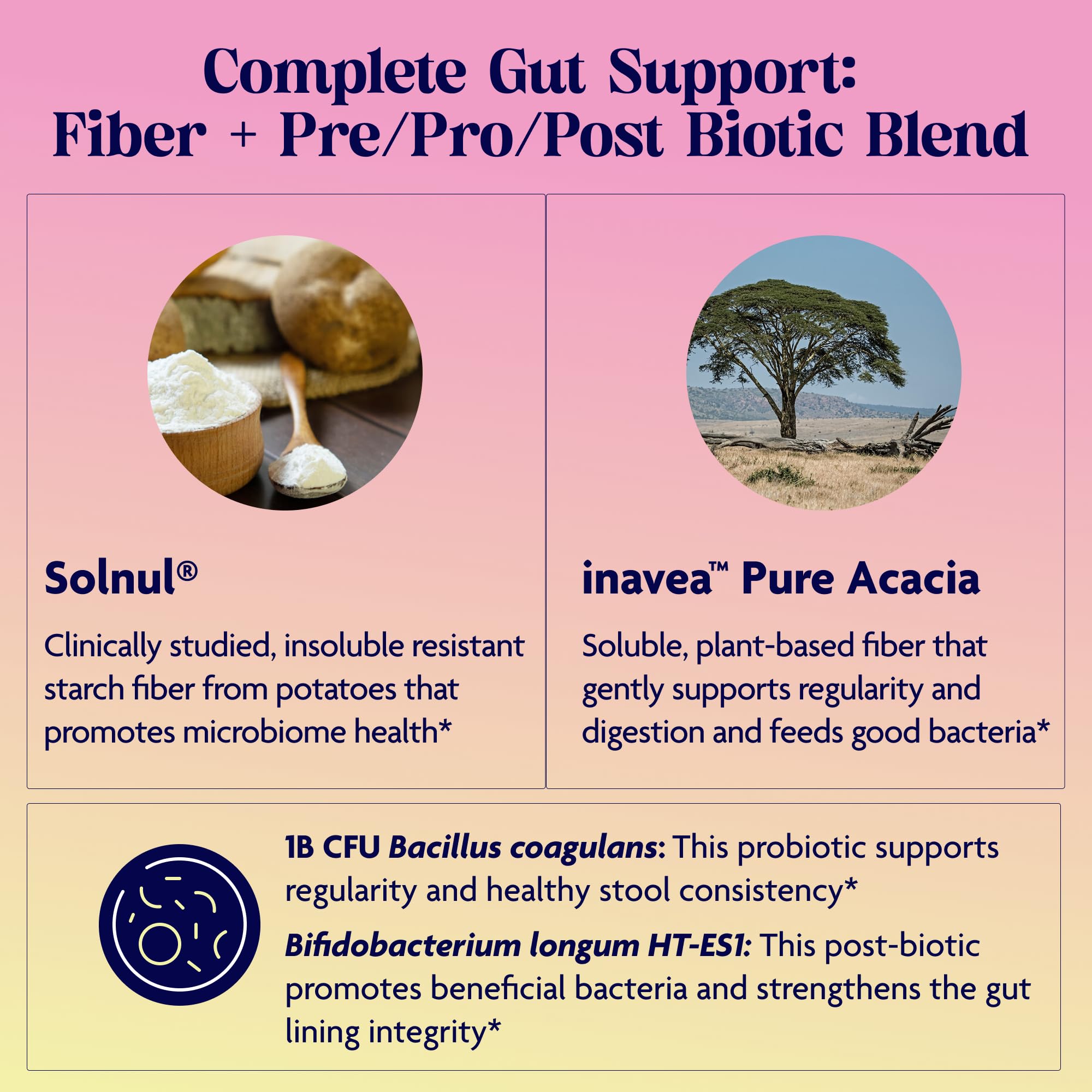 Enzymedica Let's Go Fiber+ Prebiotic Powder side view of container