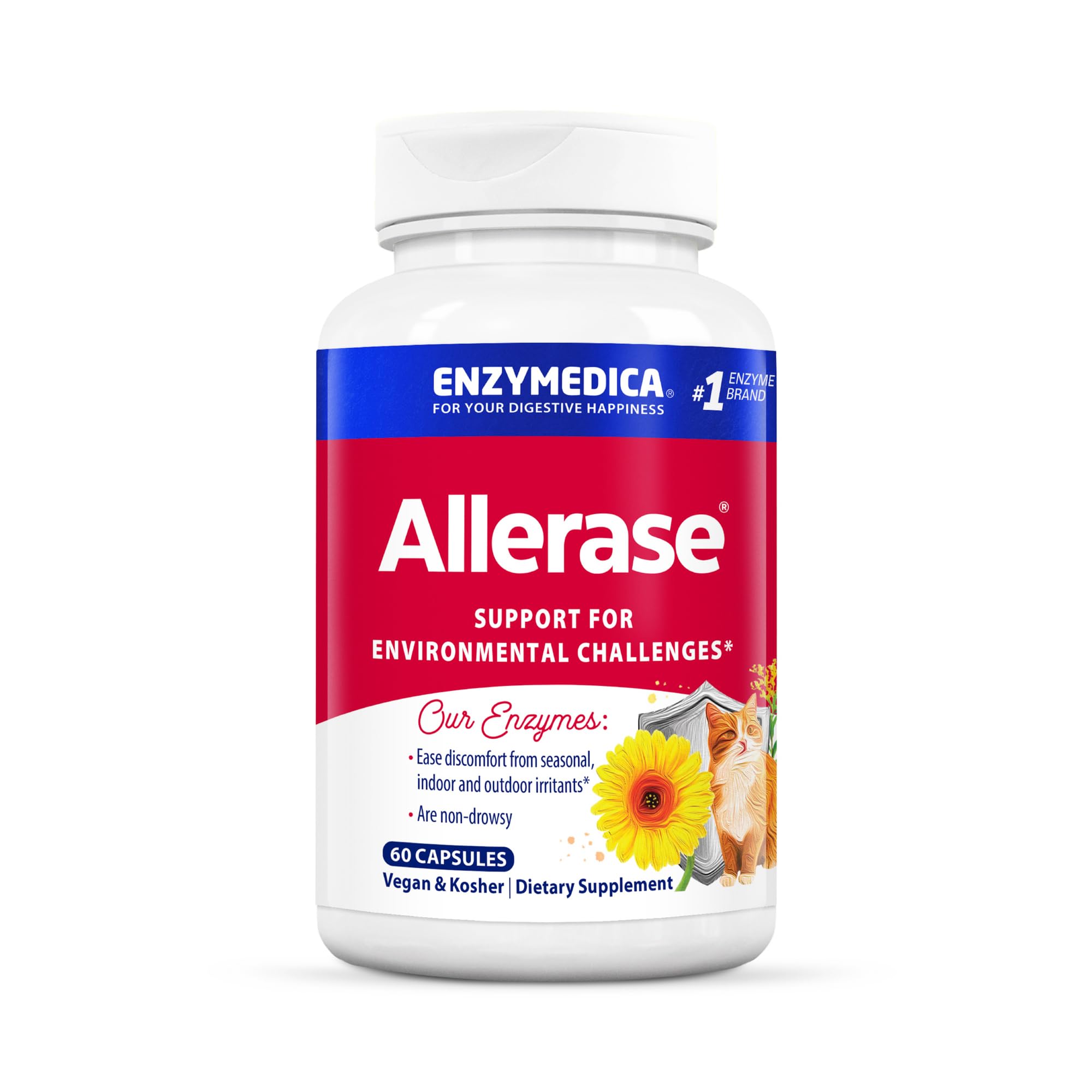 Enzymedica Multi-Enzymes 14g front view with packaging