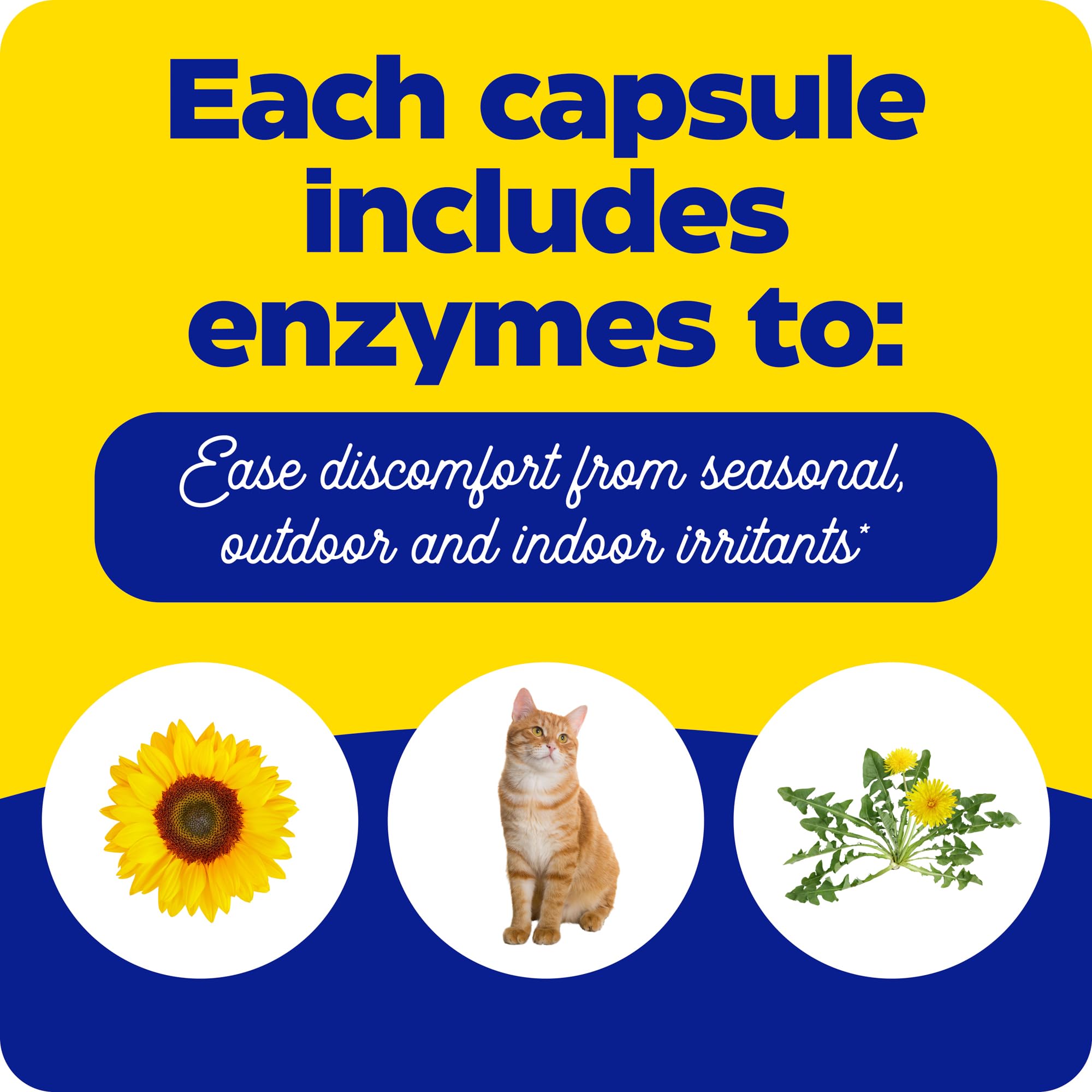 Enzymedica Multi-Enzymes 14g ingredients list