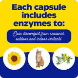 Enzymedica Multi-Enzymes 14g ingredients list