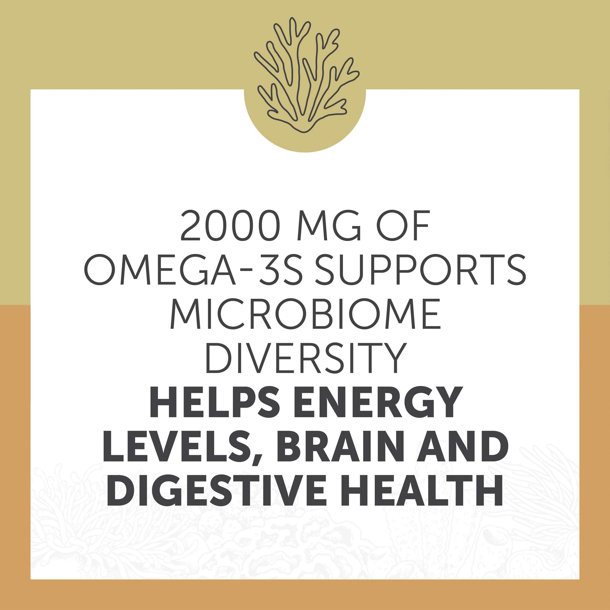 Enzymedica Omega-3 Fish Oil Softgels alongside other supplements