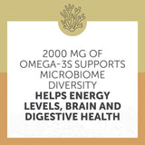 Enzymedica Omega-3 Fish Oil Softgels alongside other supplements