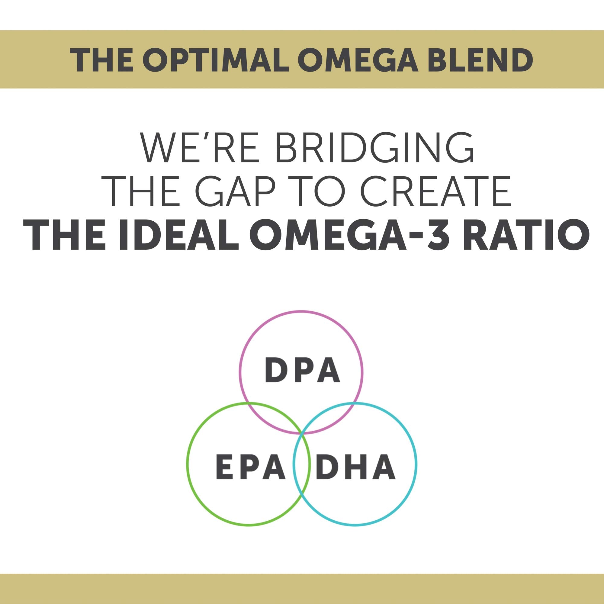 Enzymedica Omega-3 Fish Oil Softgels in a lifestyle setting