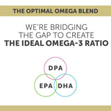 Enzymedica Omega-3 Fish Oil Softgels in a lifestyle setting