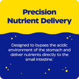 Enzymedica pH-Basic Multi-Enzymes 90 Capsules with packaging