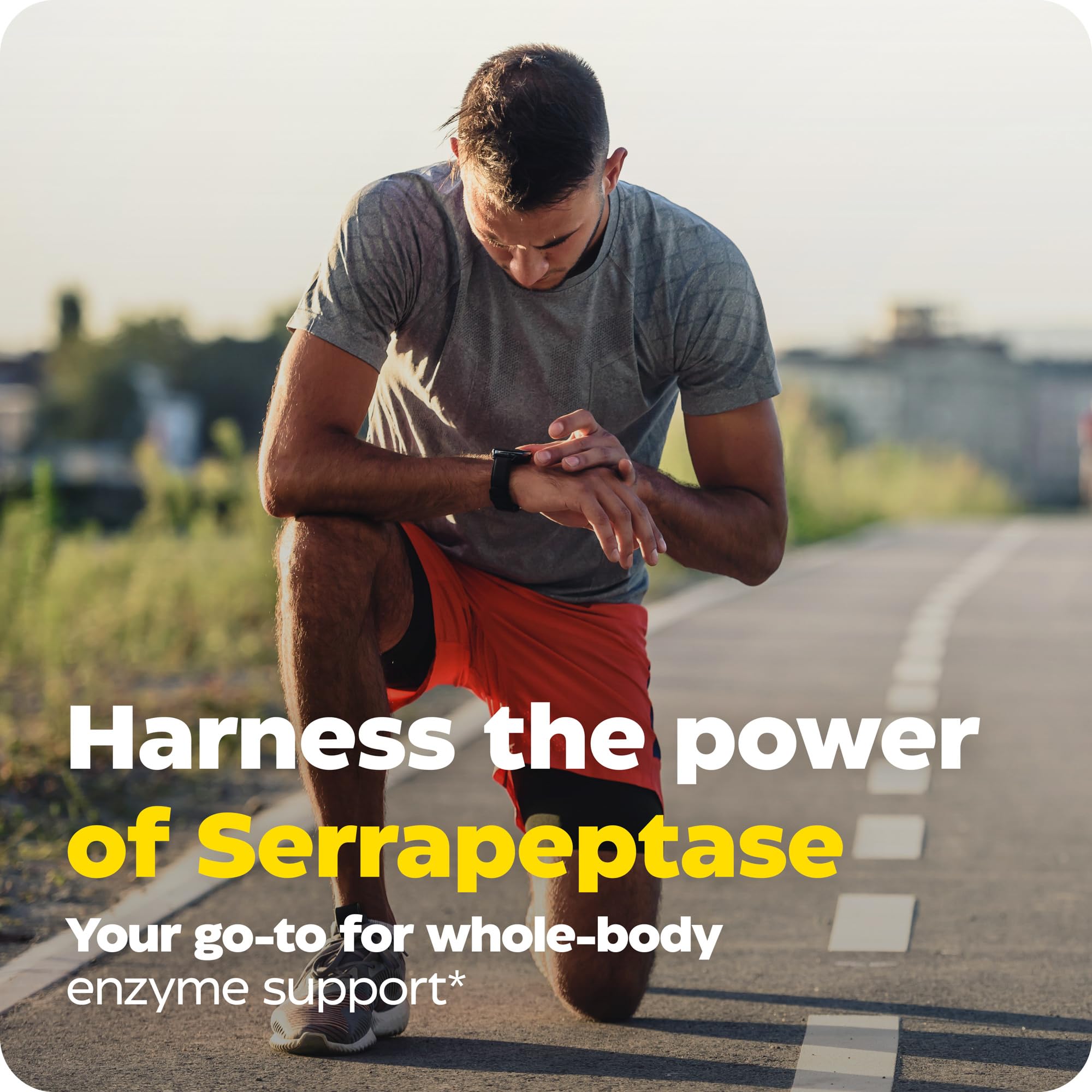 Enzymedica SerraGold Serrapeptase Supplement capsule close-up