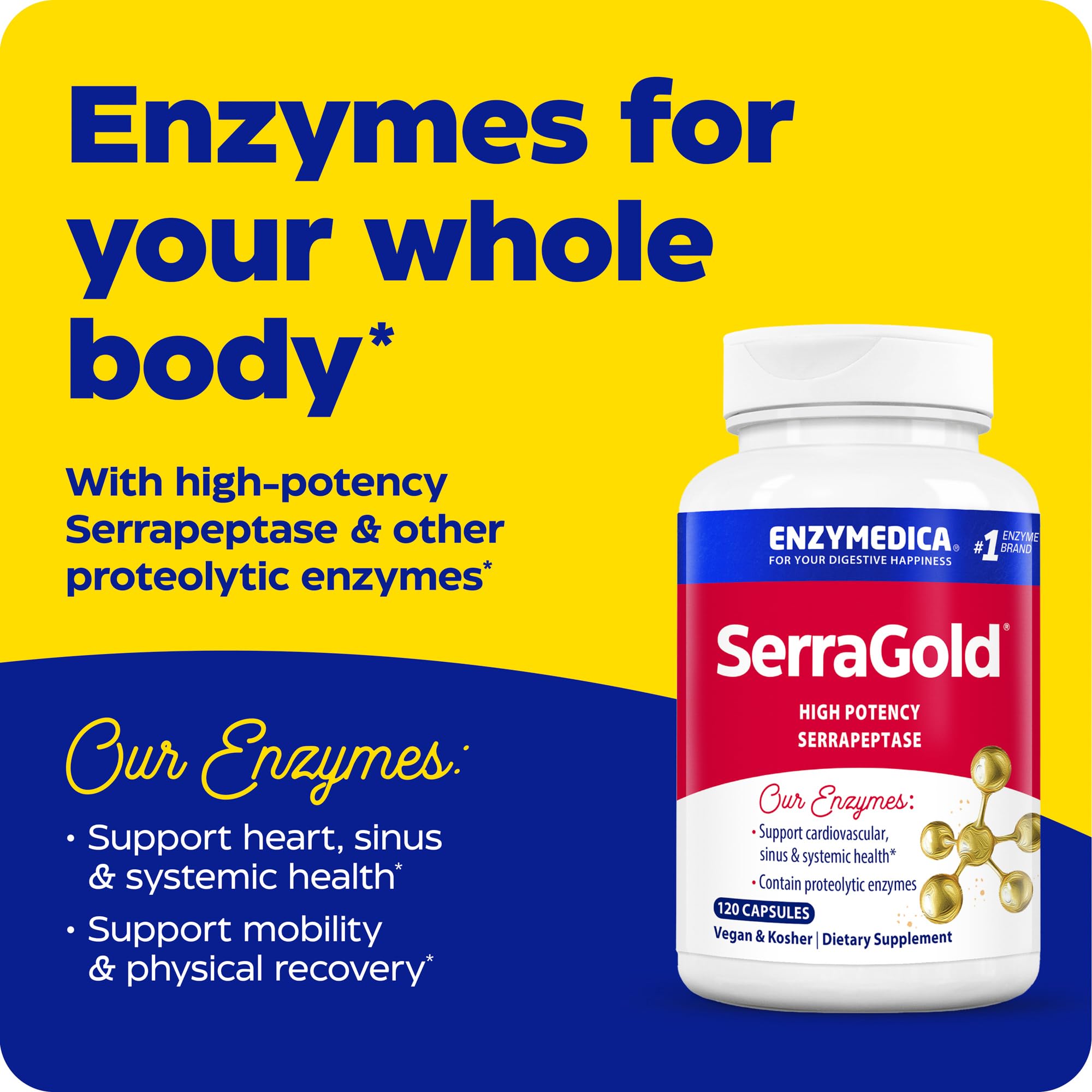 Enzymedica SerraGold Serrapeptase Supplement side view