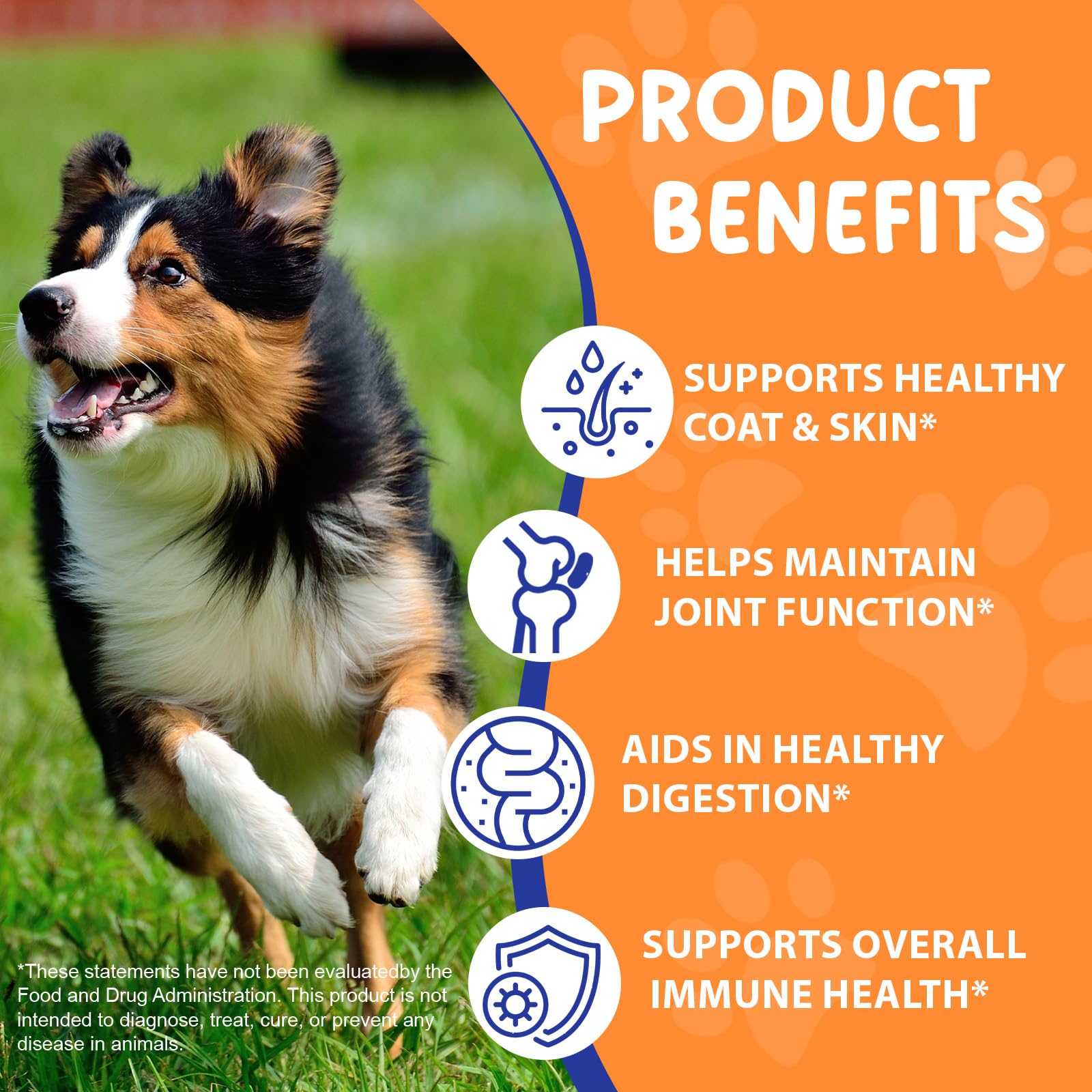 EQEIYICS Liquid Collagen Drops for Dogs dropper close-up