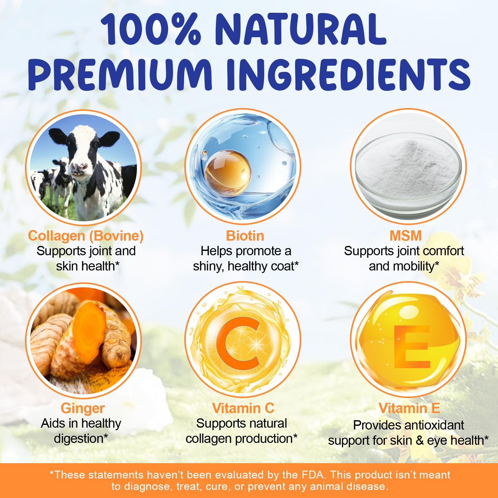 EQEIYICS Liquid Collagen Drops for Dogs in use with a dog