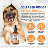 EQEIYICS Liquid Collagen Drops for Dogs packaging on a table