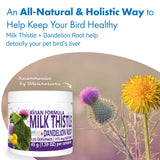 Equa Holistics Avian Milk Thistle + Dandelion Root supplement in a bird's food bowl