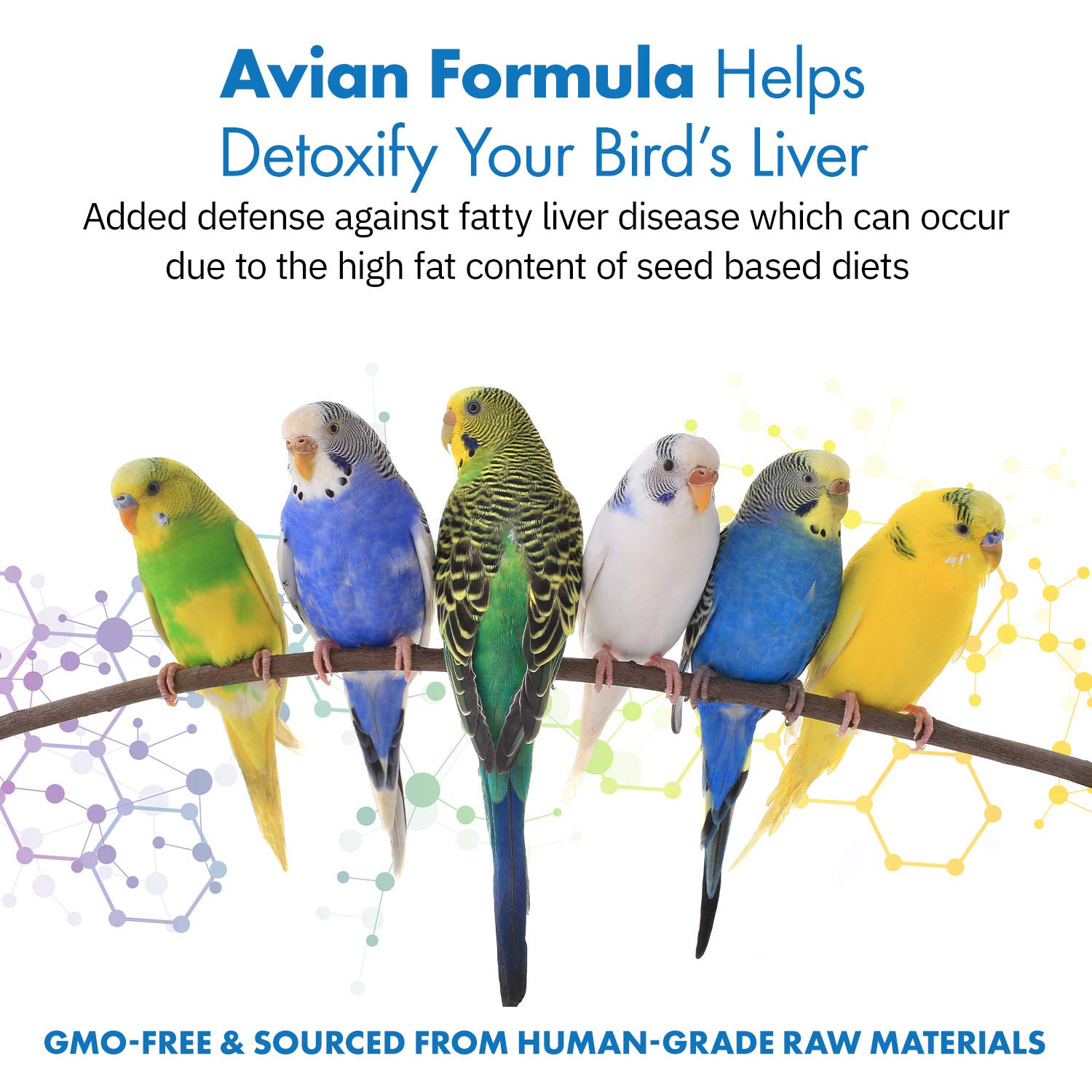 Equa Holistics Avian Milk Thistle + Dandelion Root supplement scoop size guide