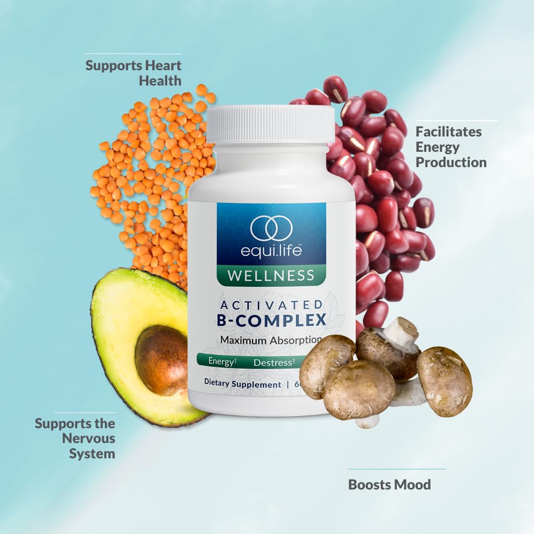 Equilife B-Complex Vitamins Supplement capsule close-up