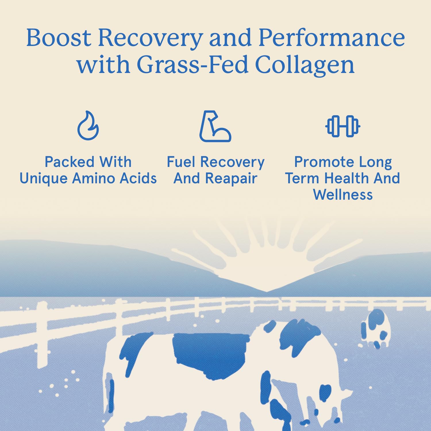 Equip Grass-Fed Collagen Supplement 503g vanilla flavour packaging
