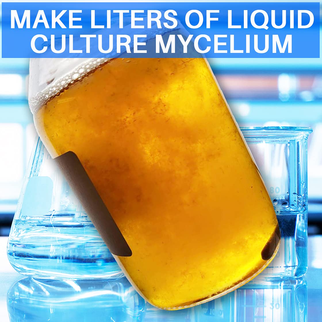 ES EVVIVA SCIENCES Mushroom Liquid Culture Premix in a laboratory setting