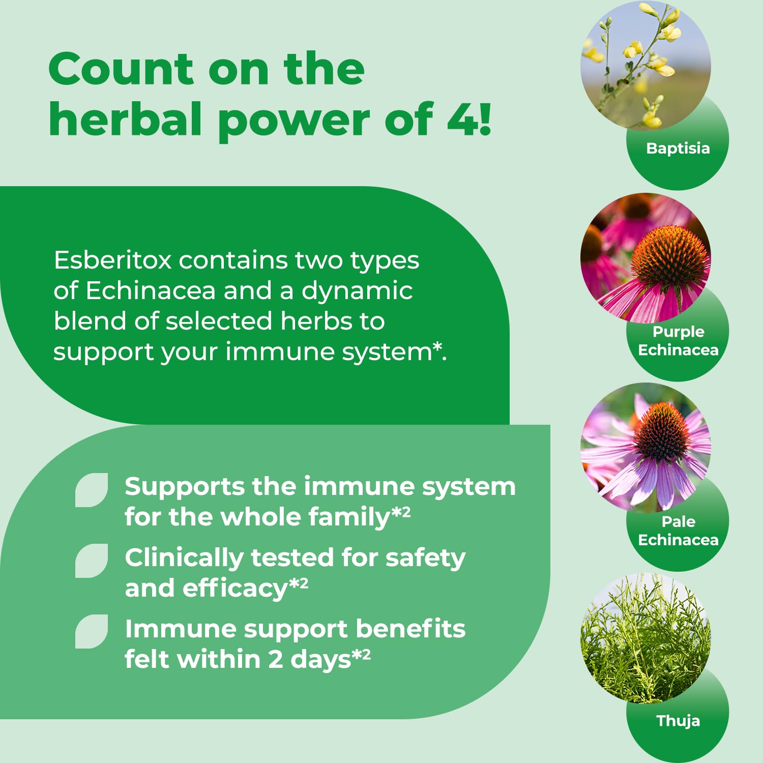 ESBERITOX Echinacea Herbal Supplement ingredients list