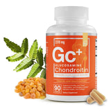 Essential Elements Glucosamine Chondroitin supplement bottle front view