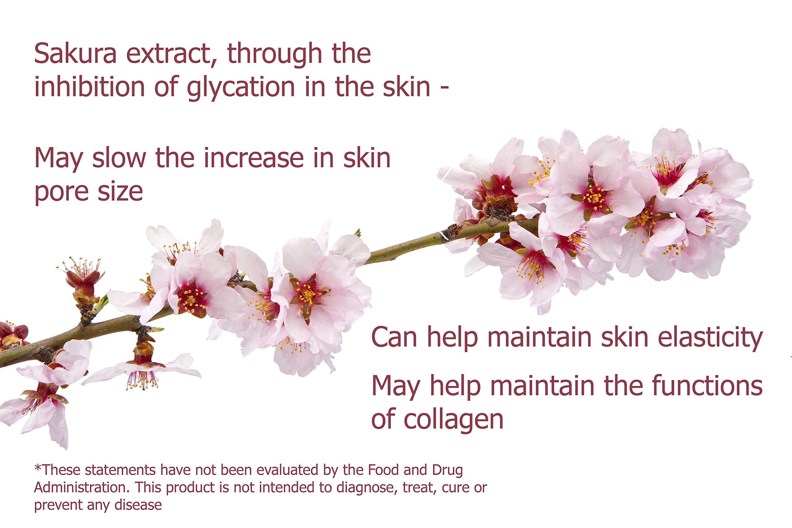 Essential Formulas Premium Collagen Plus 38g ingredients list