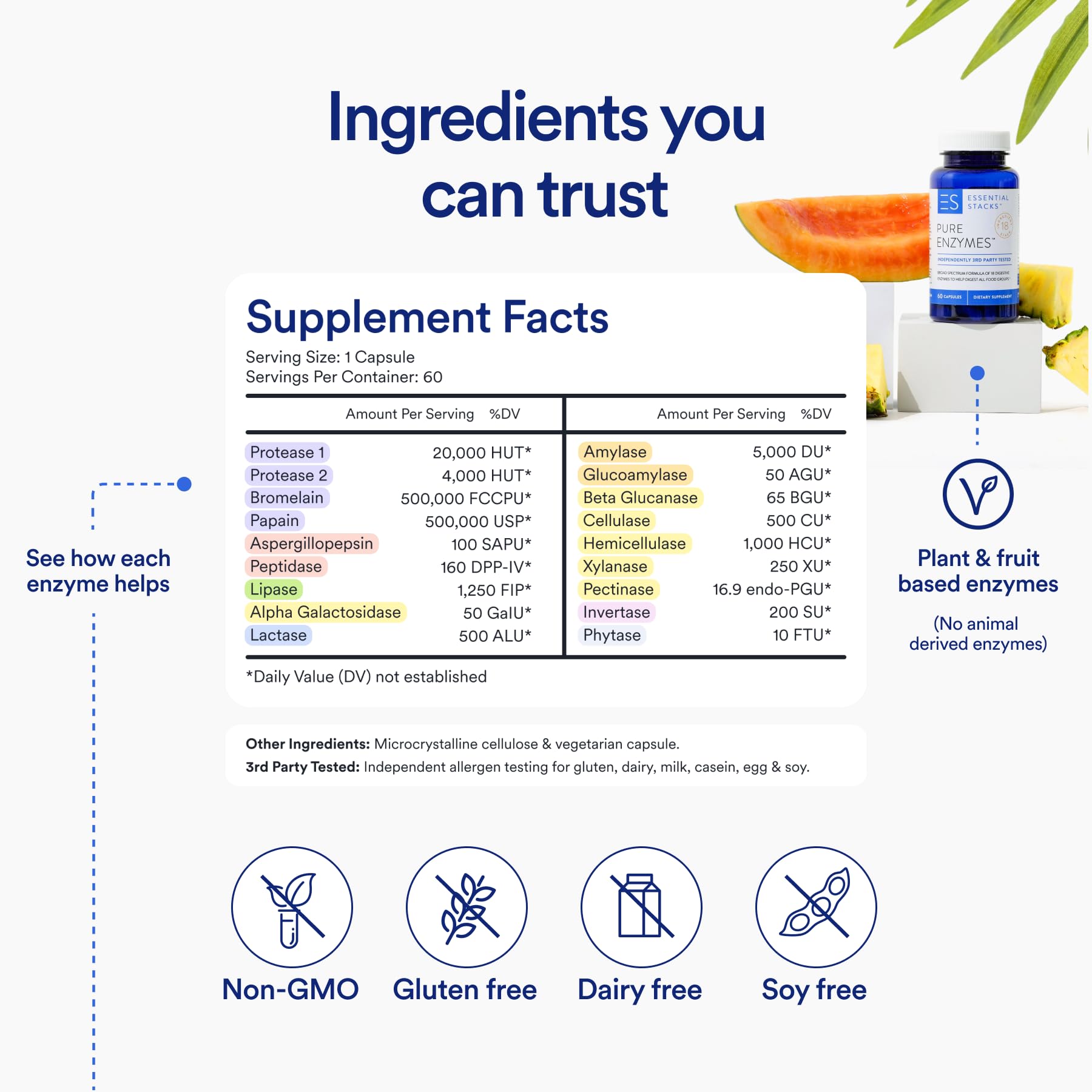Essential Stacks Multi-Enzyme Supplement 50g on a kitchen counter