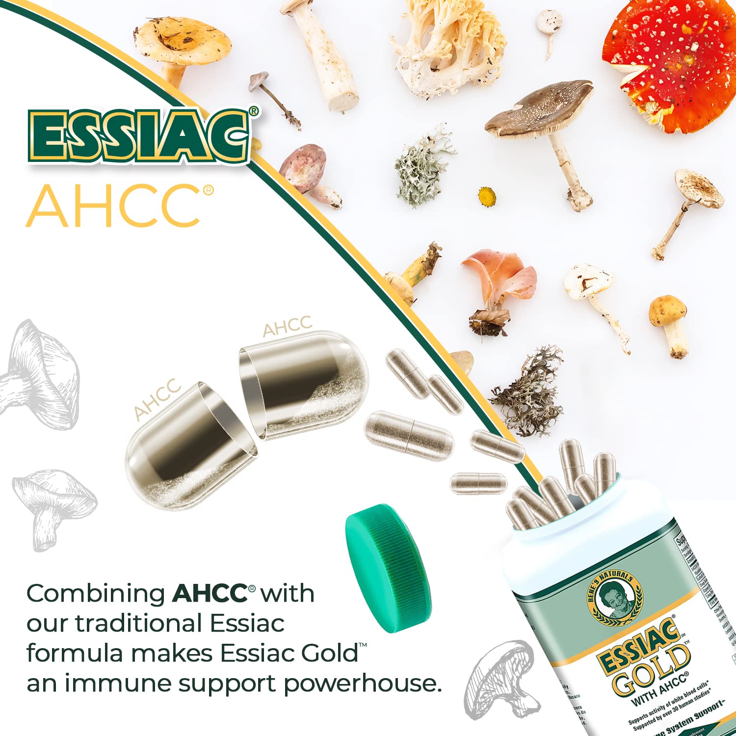 Essiac Herbal Supplement with AHCC nutritional information