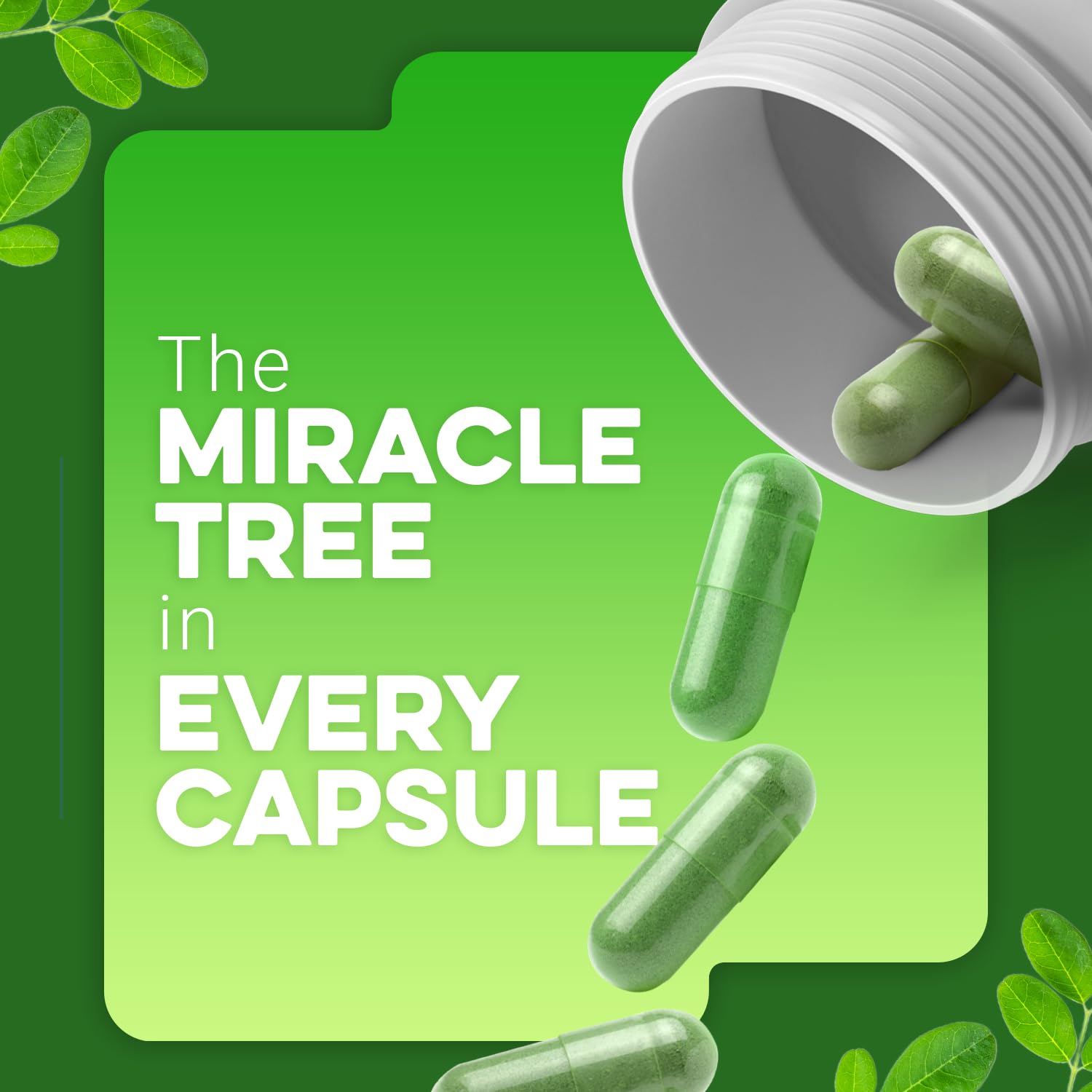 ESSNTLWELLNESS Moringa Powder Capsules side view showing label