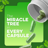 ESSNTLWELLNESS Moringa Powder Capsules side view showing label