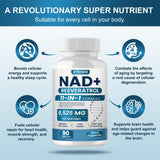 ETOVO NAD+ Resveratrol Supplement capsules in hand