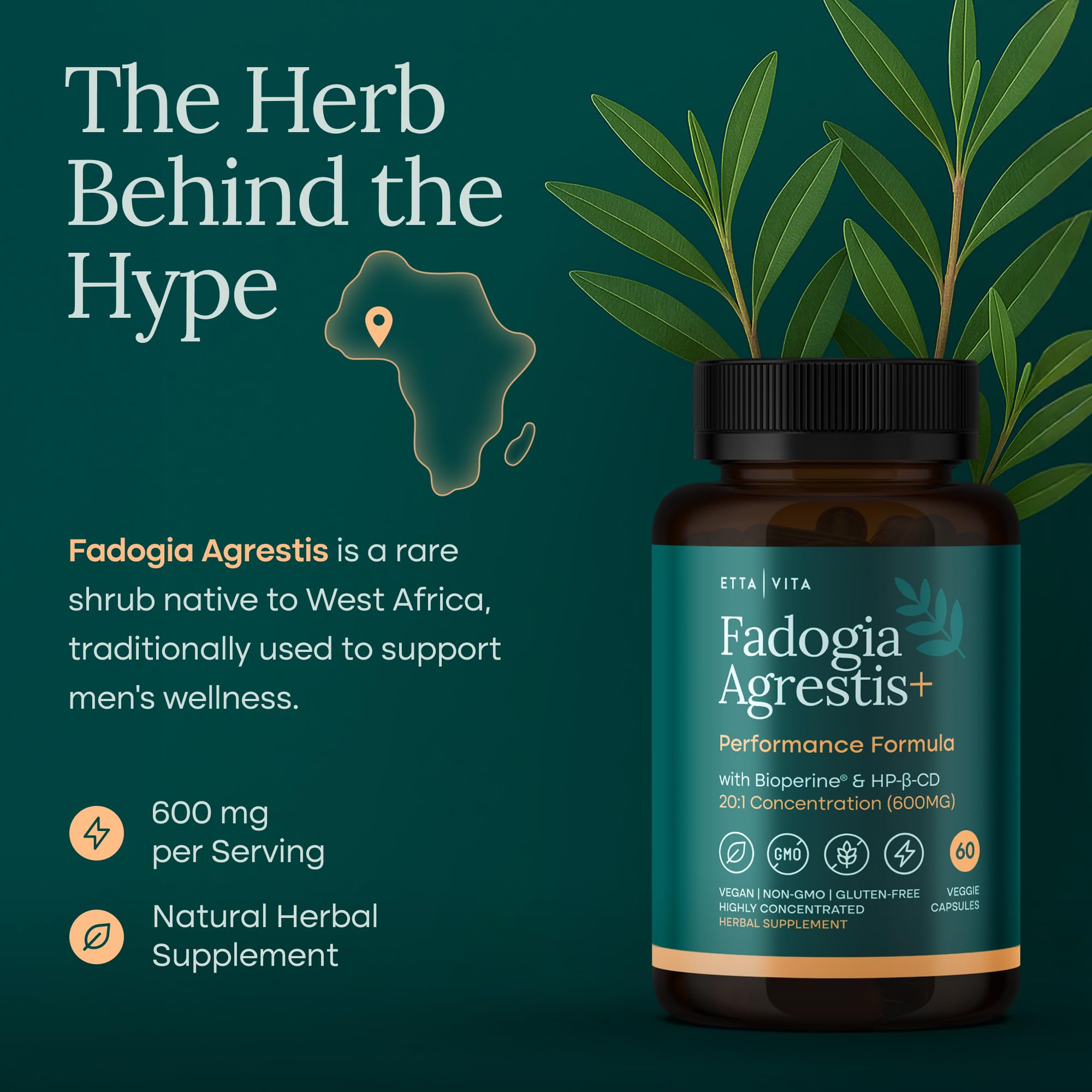 Etta Vita Fadogia Agrestis Supplement side view showing capsule