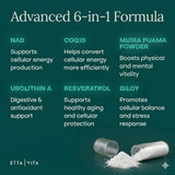 Etta Vita Giloy Supplement 500mg NAD+ bottle with green leaves