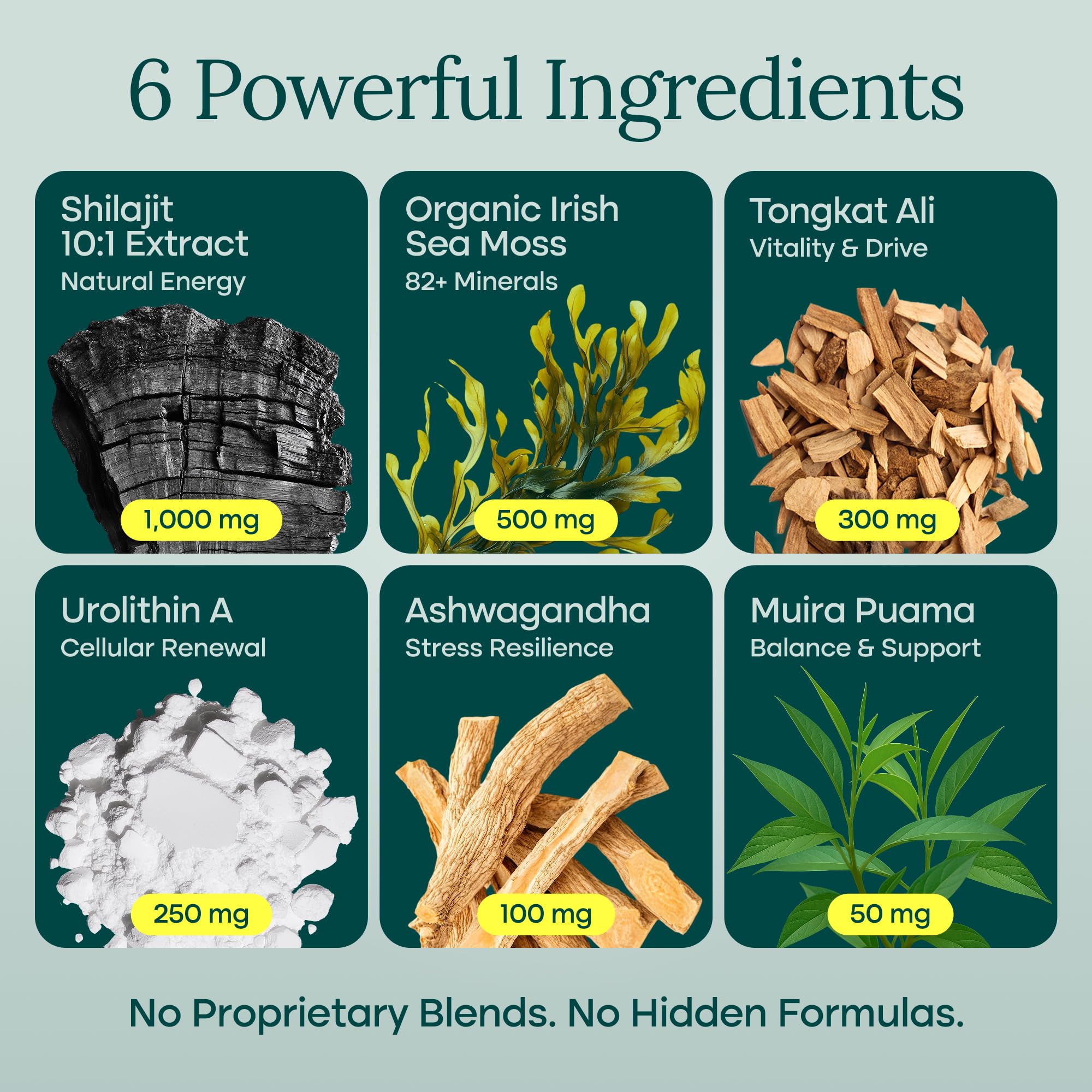 Etta Vita Noni Supplement side view showing capsule