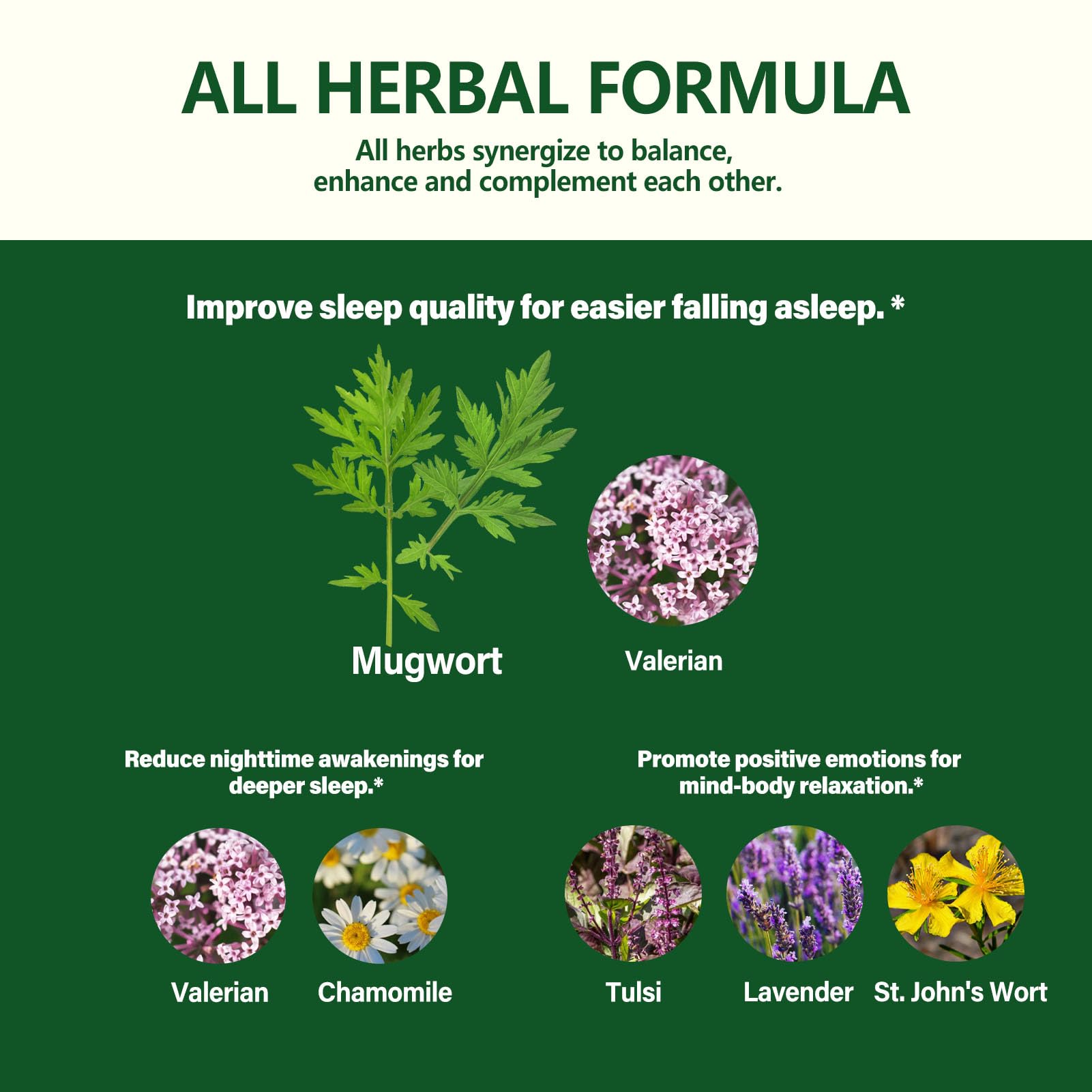 Eubrition Mugwort Herb Liquid Drops 2oz in lifestyle setting