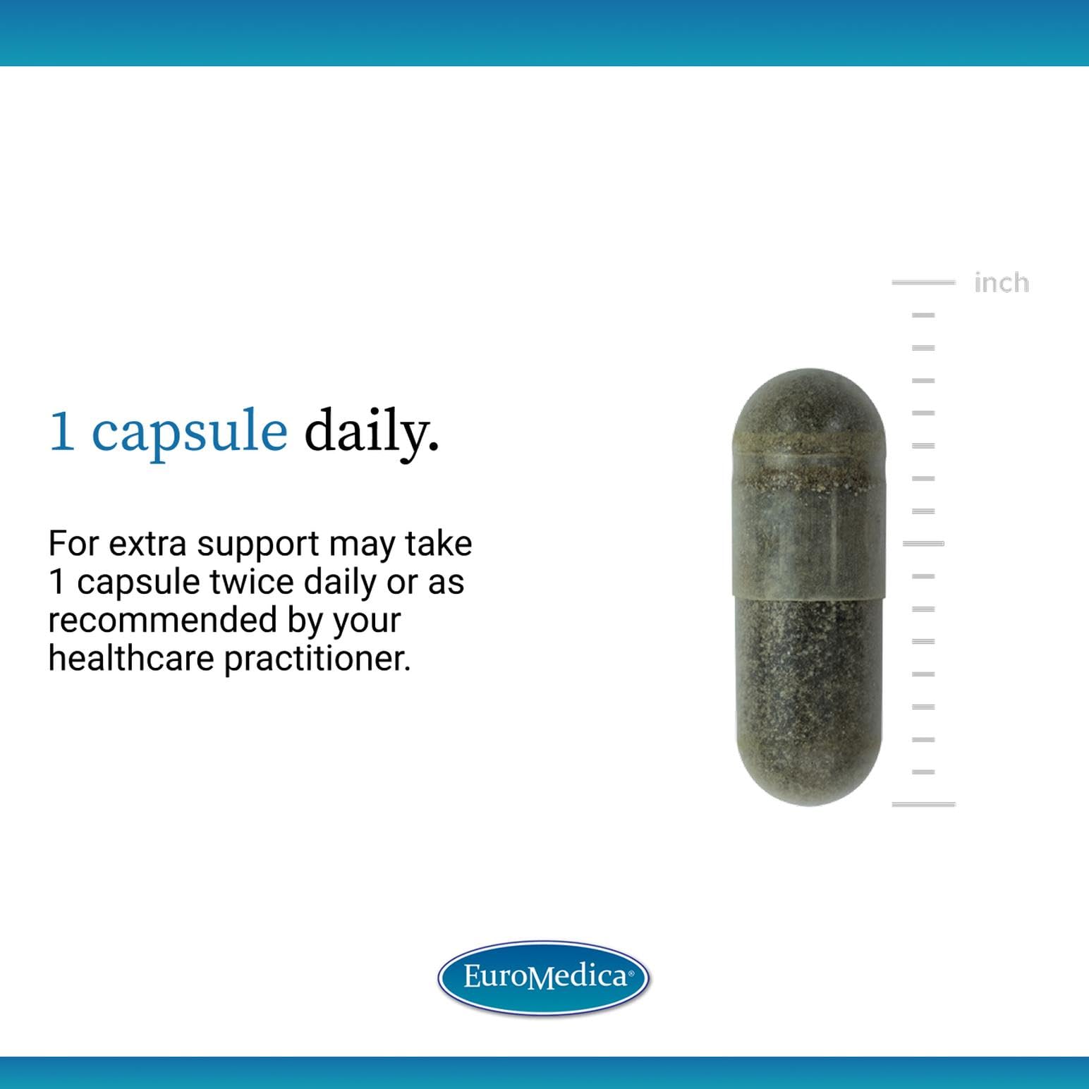 EuroMedica Andrographis Paniculata supplement bottle back view