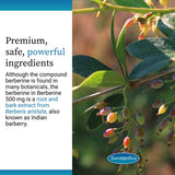 EuroMedica Berberine Capsules with a measuring spoon for dosage