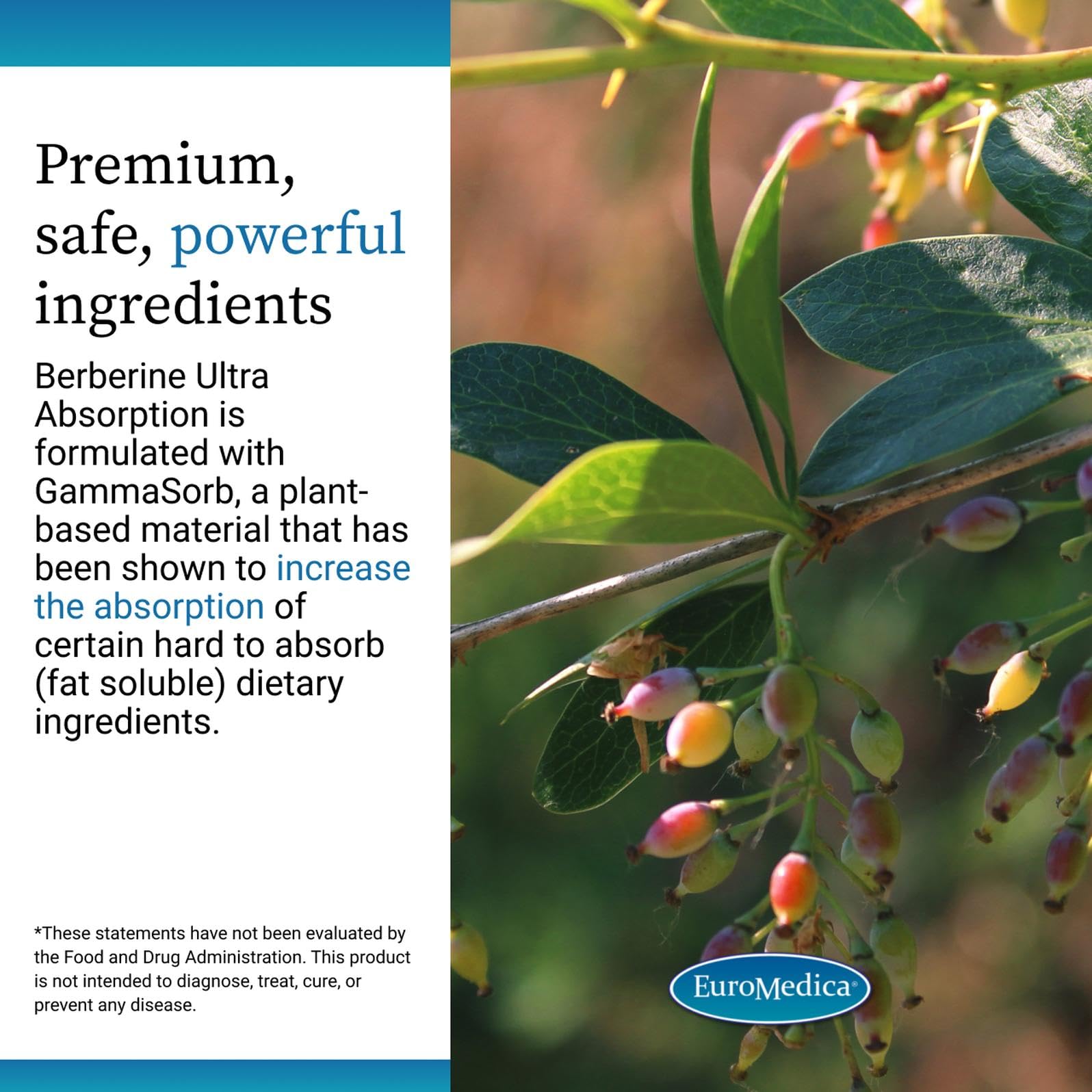 EuroMedica Berberine Capsules with measuring spoon