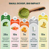 EVARA Organic Moringa Powder 349g in a smoothie preparation