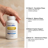 Everlife Curcumin Supplement 180g packaging