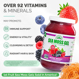 EverSmith Organics Sea Moss Gel 454g close-up of texture