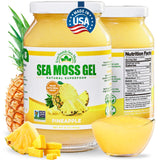EverSmith Organics Sea Moss Gel 454g front view