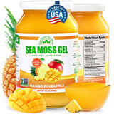 EverSmith Organics Sea Moss Gel 454g front view