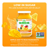 EverSmith Organics Sea Moss Gel 454g lifestyle scene