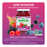 EverSmith Organics Sea Moss Gel 454g on a kitchen counter