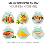 EverSmith Organics Sea Moss Gel 454g on a spoon