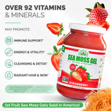EverSmith Organics Sea Moss Gel 454g opened jar